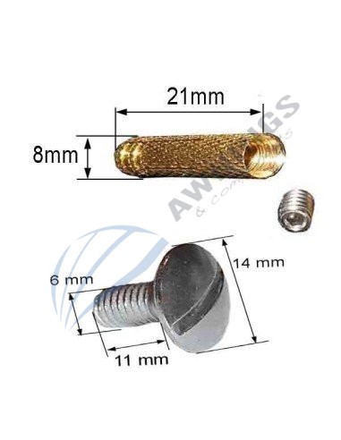 Screw  for awnings swimming pools