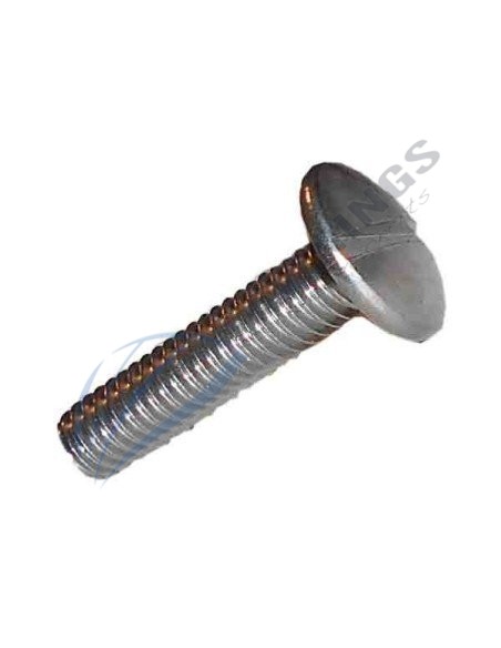 Vite a testa mezza tonda, con intaglio (poeliers) M8X30 [product.brand] 1 - Awnings Components 